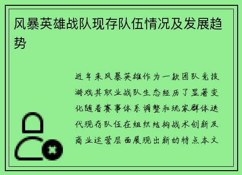 风暴英雄战队现存队伍情况及发展趋势