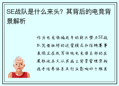 SE战队是什么来头？其背后的电竞背景解析